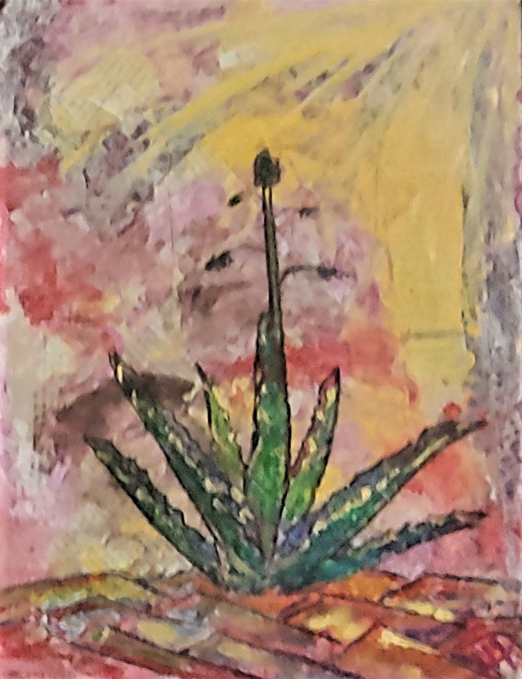 
																					el MAguey 2.jpg